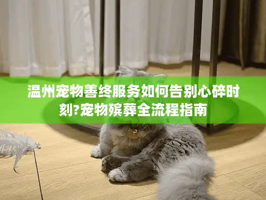 温州宠物善终服务如何告别心碎时刻?宠物殡葬全流程指南