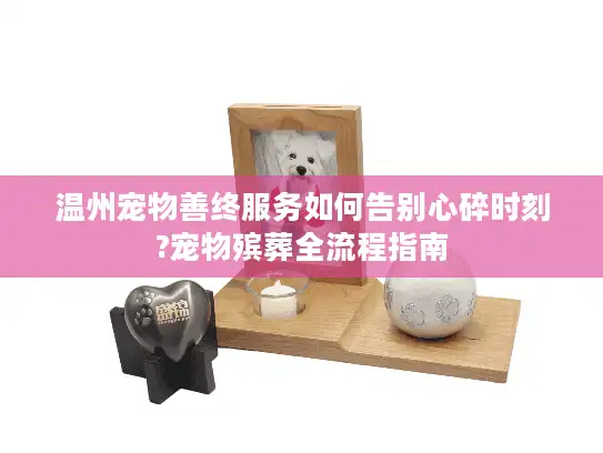 温州宠物善终服务如何告别心碎时刻?宠物殡葬全流程指南
