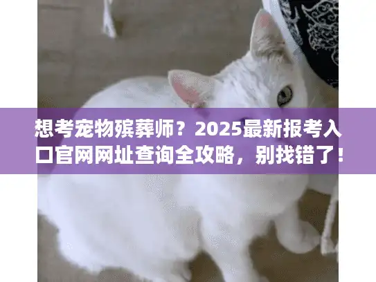 想考宠物殡葬师？2025最新报考入口官网网址查询全攻略，别找错了！