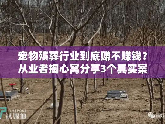 宠物殡葬行业到底赚不赚钱？从业者掏心窝分享3个真实案例，藏着你不知道的盈利真相