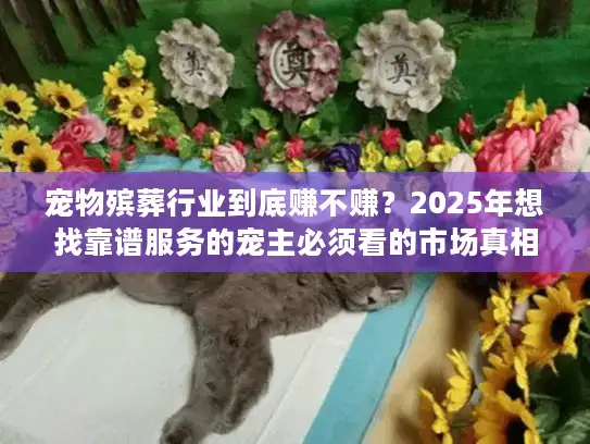 宠物殡葬行业到底赚不赚？2025年想找靠谱服务的宠主必须看的市场真相