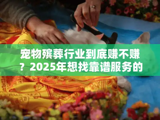 宠物殡葬行业到底赚不赚？2025年想找靠谱服务的宠主必须看的市场真相