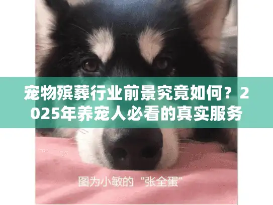 宠物殡葬行业前景究竟如何？2025年养宠人必看的真实服务痛点与趋势预判