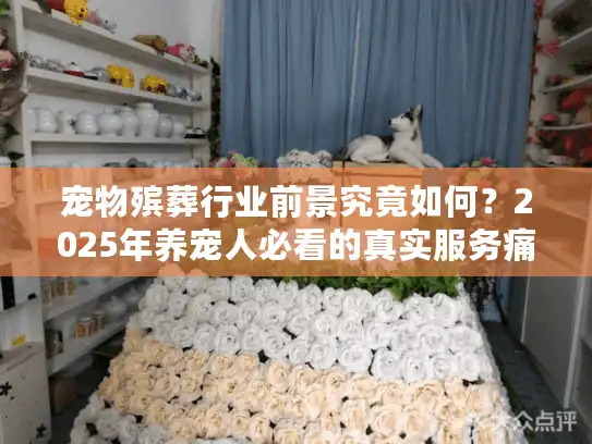 宠物殡葬行业前景究竟如何？2025年养宠人必看的真实服务痛点与趋势预判