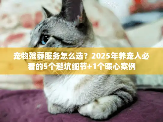 宠物殡葬服务怎么选？2025年养宠人必看的5个避坑细节+1个暖心案例