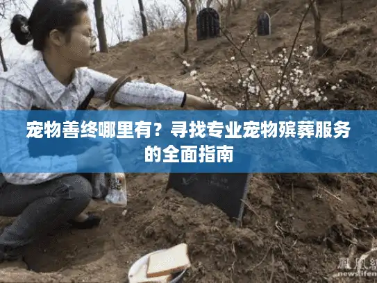 宠物善终哪里有？寻找专业宠物殡葬服务的全面指南