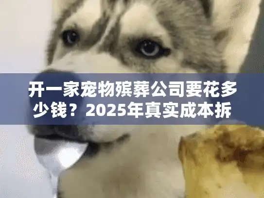 开一家宠物殡葬公司要花多少钱？2025年真实成本拆解+避坑清单