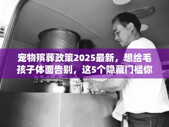宠物殡葬政策2025最新，想给毛孩子体面告别，这5个隐藏门槛你必须先搞懂！