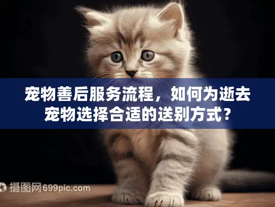 宠物善后服务流程，如何为逝去宠物选择合适的送别方式？
