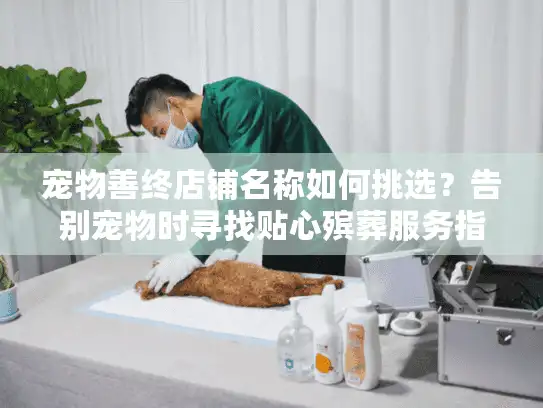 宠物善终店铺名称如何挑选？告别宠物时寻找贴心殡葬服务指南