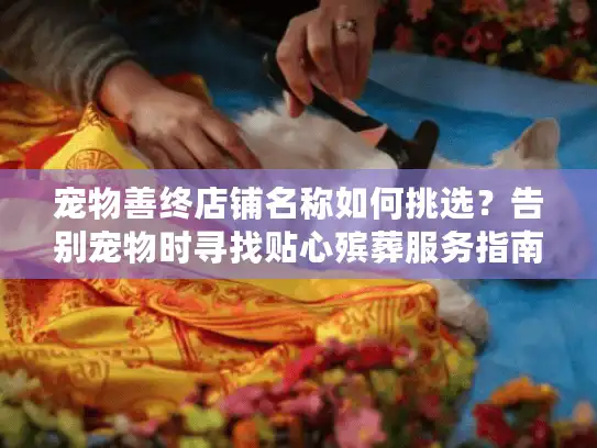 宠物善终店铺名称如何挑选？告别宠物时寻找贴心殡葬服务指南