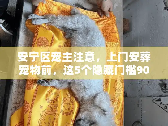 安宁区宠主注意，上门安葬宠物前，这5个隐藏门槛90%的人没搞懂？