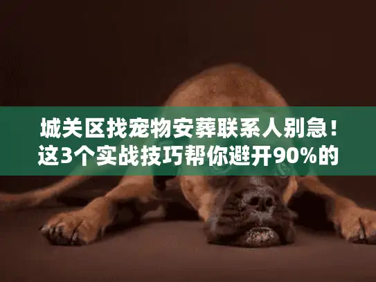 城关区找宠物安葬联系人别急！这3个实战技巧帮你避开90%的坑