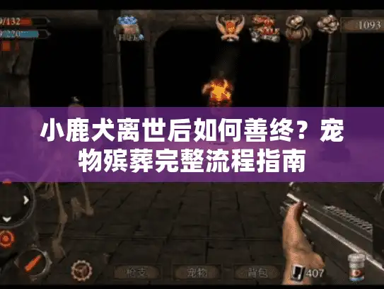 小鹿犬离世后如何善终？宠物殡葬完整流程指南