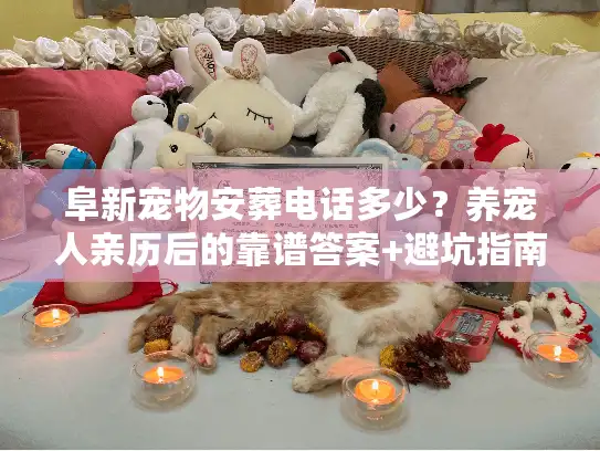 阜新宠物安葬电话多少？养宠人亲历后的靠谱答案+避坑指南