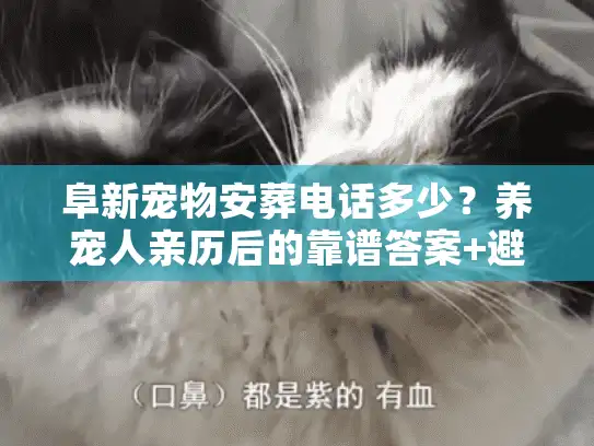 阜新宠物安葬电话多少？养宠人亲历后的靠谱答案+避坑指南