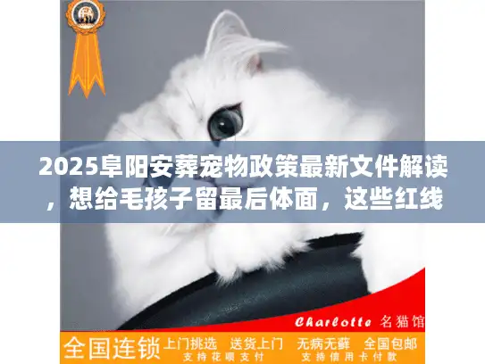 2025阜阳安葬宠物政策最新文件解读，想给毛孩子留最后体面，这些红线不能碰？