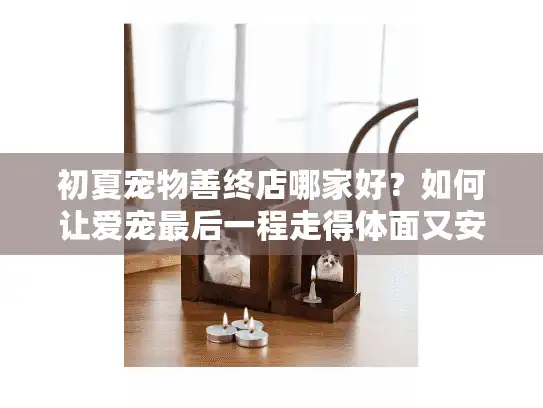 初夏宠物善终店哪家好？如何让爱宠最后一程走得体面又安心