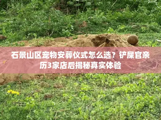 石景山区宠物安葬仪式怎么选？铲屎官亲历3家店后揭秘真实体验