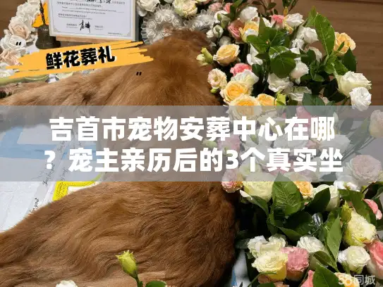 吉首市宠物安葬中心在哪？宠主亲历后的3个真实坐标+1个避坑预警