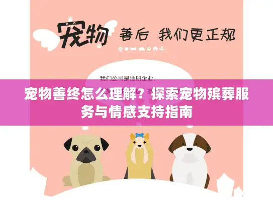 宠物善终怎么理解？探索宠物殡葬服务与情感支持指南