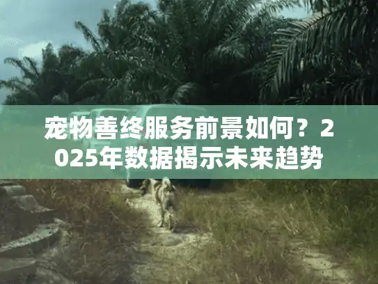 宠物善终服务前景如何？2025年数据揭示未来趋势