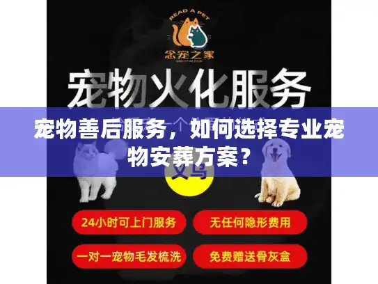 宠物善后服务，如何选择专业宠物安葬方案？