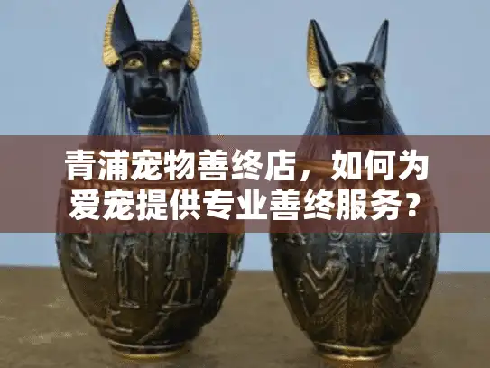 青浦宠物善终店，如何为爱宠提供专业善终服务？
