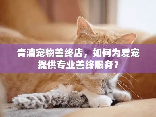 青浦宠物善终店，如何为爱宠提供专业善终服务？