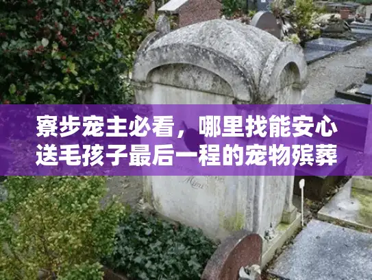 寮步宠主必看，哪里找能安心送毛孩子最后一程的宠物殡葬服务？