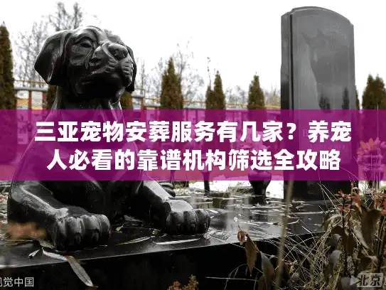 三亚宠物安葬服务有几家？养宠人必看的靠谱机构筛选全攻略