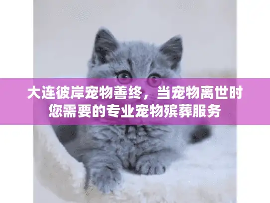 大连彼岸宠物善终，当宠物离世时您需要的专业宠物殡葬服务