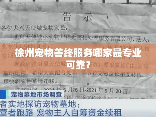 徐州宠物善终服务哪家最专业可靠？