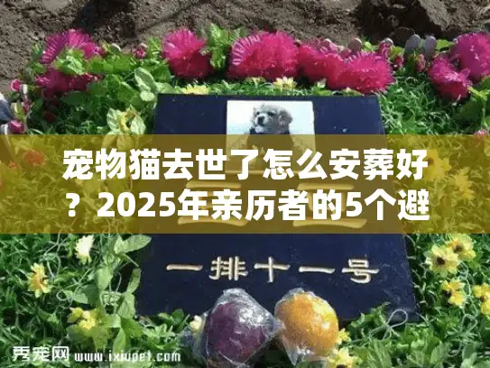宠物猫去世了怎么安葬好？2025年亲历者的5个避坑选择与行业内幕