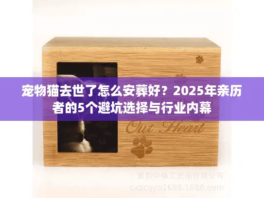宠物猫去世了怎么安葬好？2025年亲历者的5个避坑选择与行业内幕