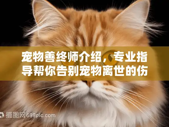 宠物善终师介绍，专业指导帮你告别宠物离世的伤痛