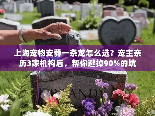 上海宠物安葬一条龙怎么选？宠主亲历3家机构后，帮你避掉90%的坑
