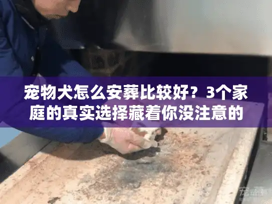 宠物犬怎么安葬比较好？3个家庭的真实选择藏着你没注意的关键