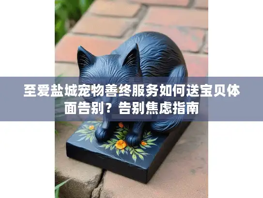 至爱盐城宠物善终服务如何送宝贝体面告别？告别焦虑指南