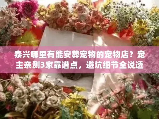 泰兴哪里有能安葬宠物的宠物店？宠主亲测3家靠谱点，避坑细节全说透
