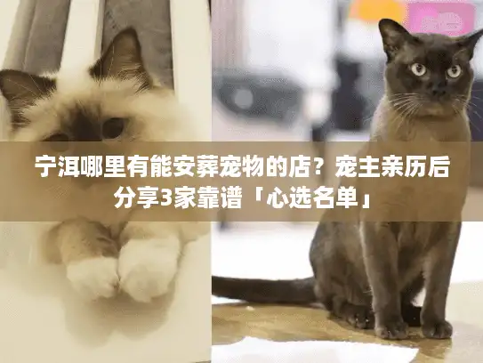 宁洱哪里有能安葬宠物的店？宠主亲历后分享3家靠谱「心选名单」