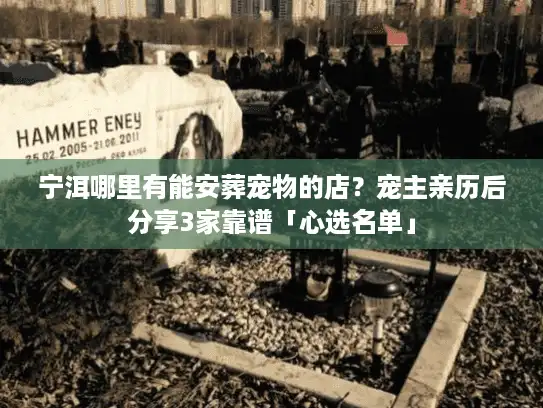 宁洱哪里有能安葬宠物的店？宠主亲历后分享3家靠谱「心选名单」