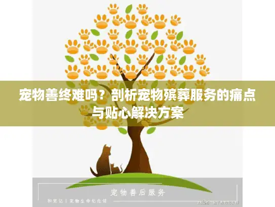 宠物善终难吗？剖析宠物殡葬服务的痛点与贴心解决方案