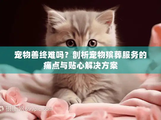 宠物善终难吗？剖析宠物殡葬服务的痛点与贴心解决方案