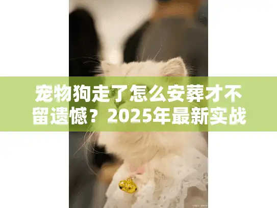 宠物狗走了怎么安葬才不留遗憾？2025年最新实战攻略藏着3个关键门道
