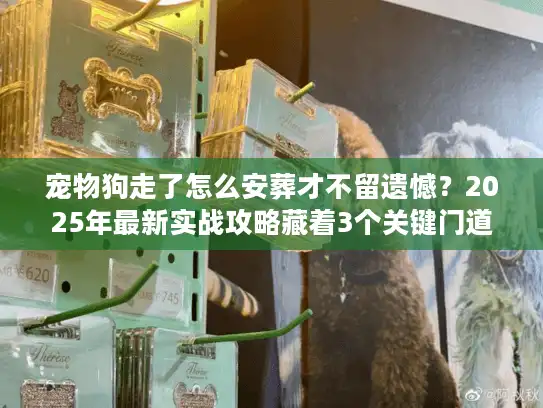 宠物狗走了怎么安葬才不留遗憾？2025年最新实战攻略藏着3个关键门道