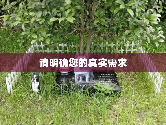 请明确您的真实需求