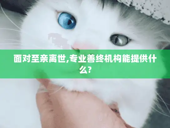 面对至亲离世,专业善终机构能提供什么?