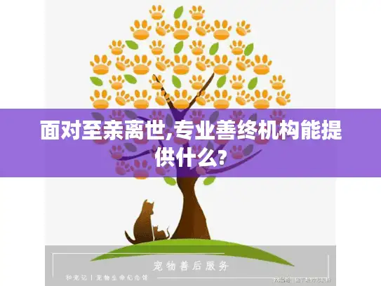 面对至亲离世,专业善终机构能提供什么?