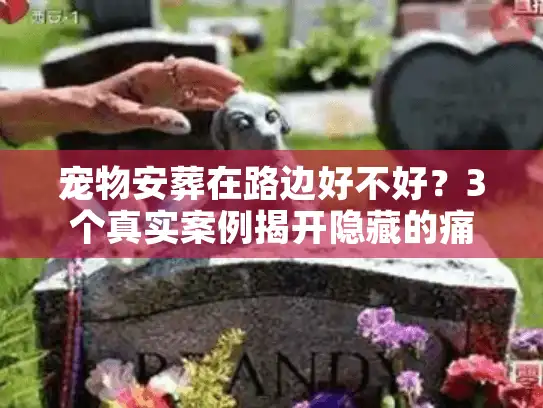 宠物安葬在路边好不好？3个真实案例揭开隐藏的痛与行业真相